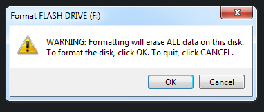 Windows warns you about erasing the existing files during the drive formatting